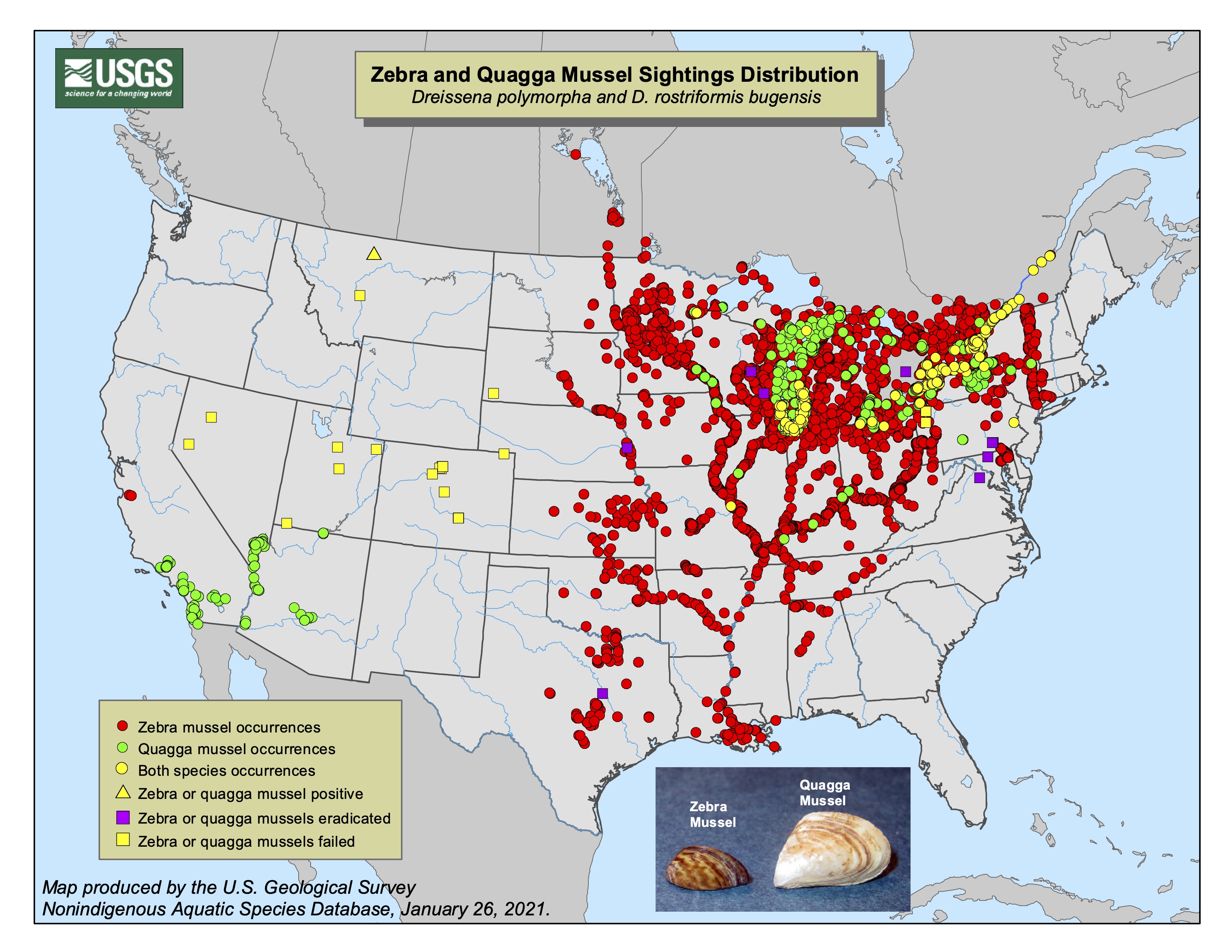 an illustrated map of national areas affected by zebra mussels